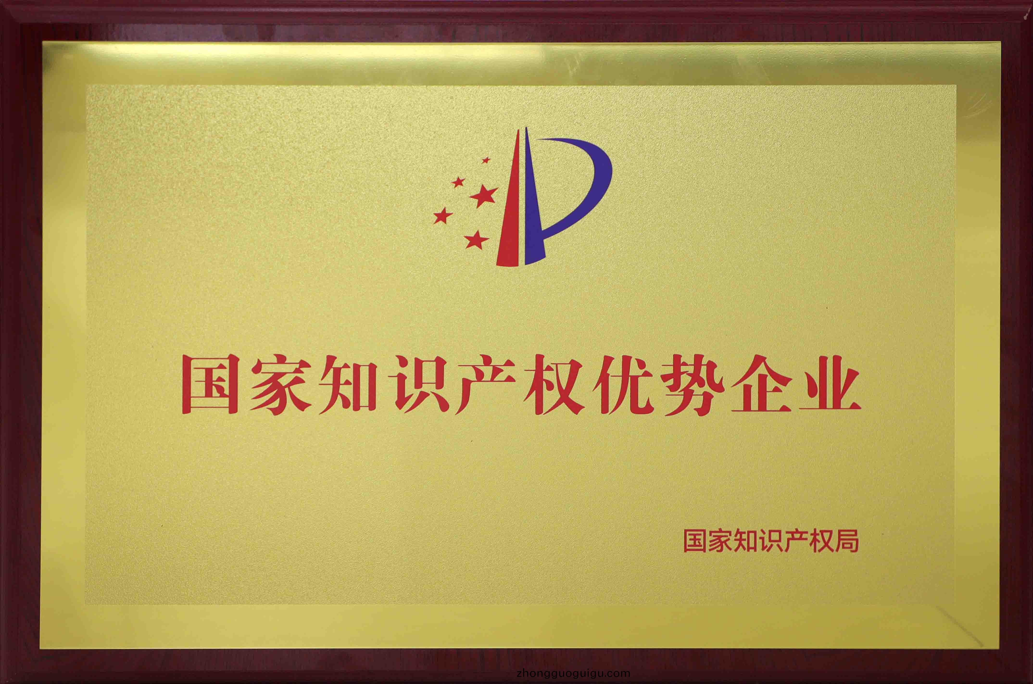 國(guo)傢知(zhi)識(shi)産權優勢企業.jpg